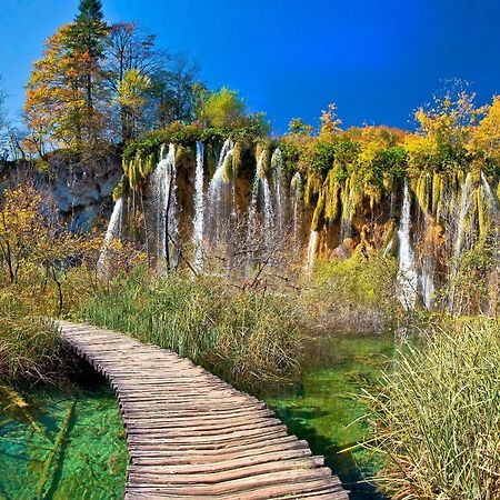 Andrea In Sertic Poljana - Haus Fuer 6 Personen Plitvička Jezera 外观 照片